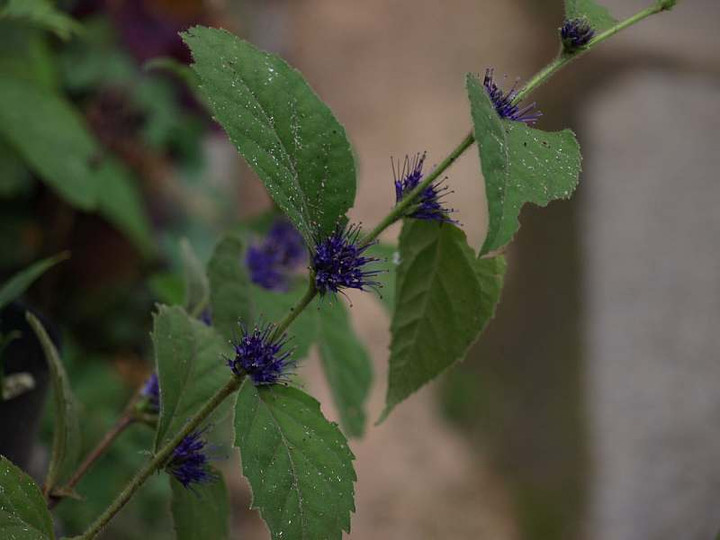 P7032980