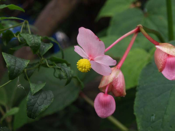 P7033011