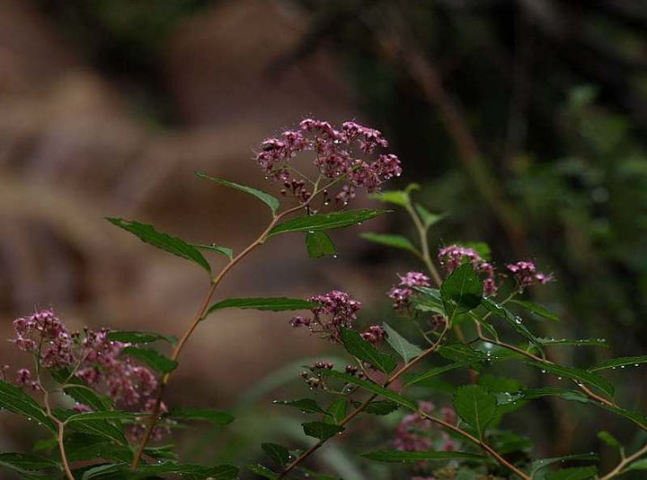 P7053244