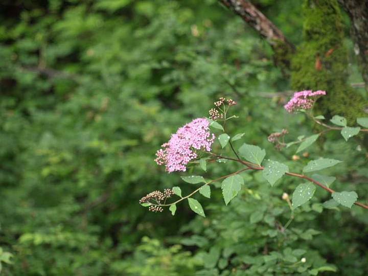 P7053255