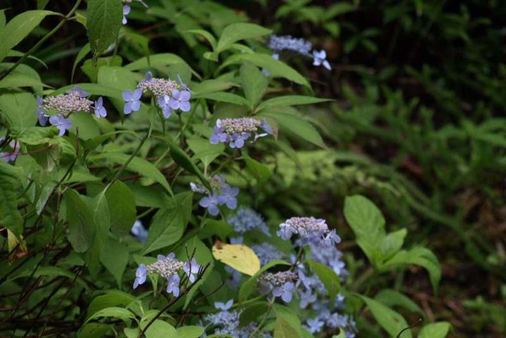 P7053273