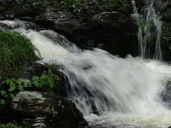 P7053294