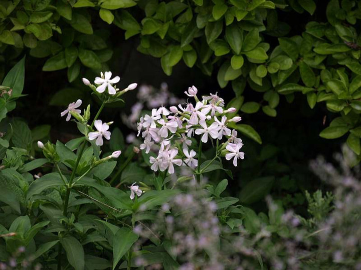 P6302596