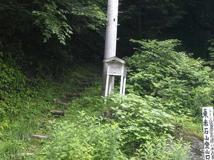P7053346