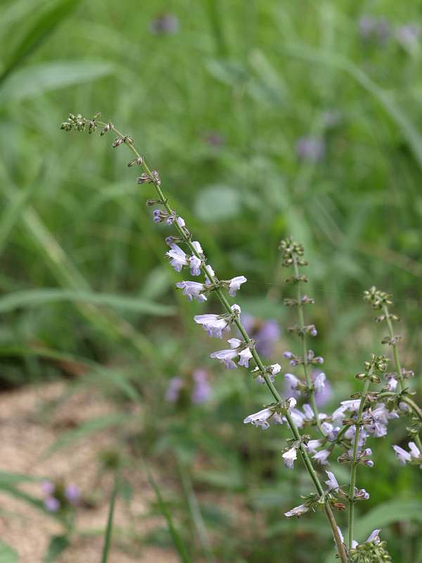 P7103433