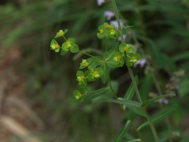 P7103434