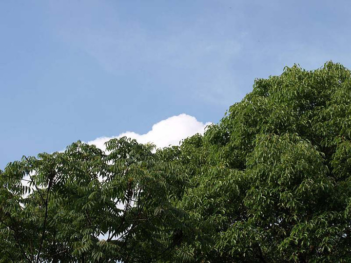 P7103438