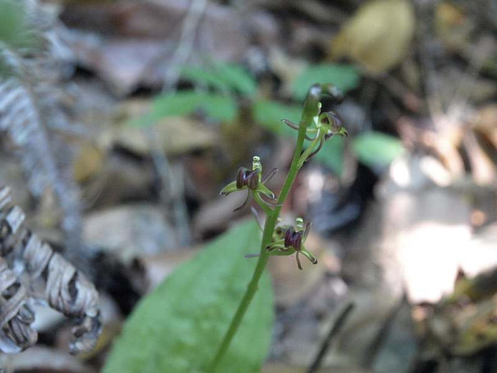P7103443