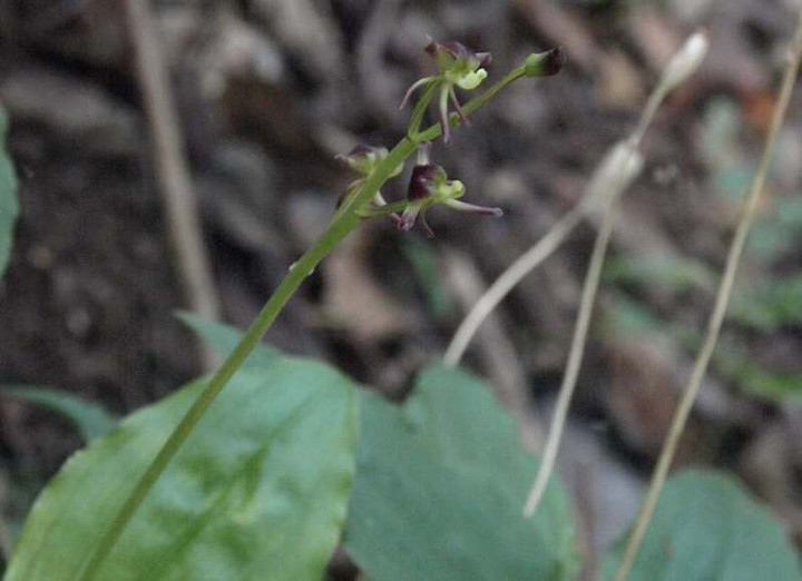 P7103446