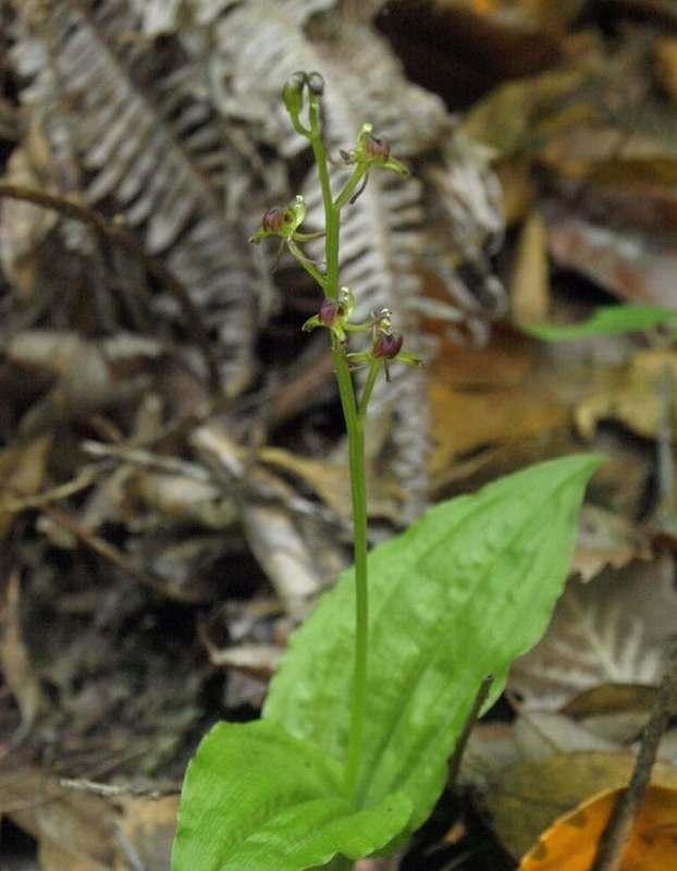 P7103531