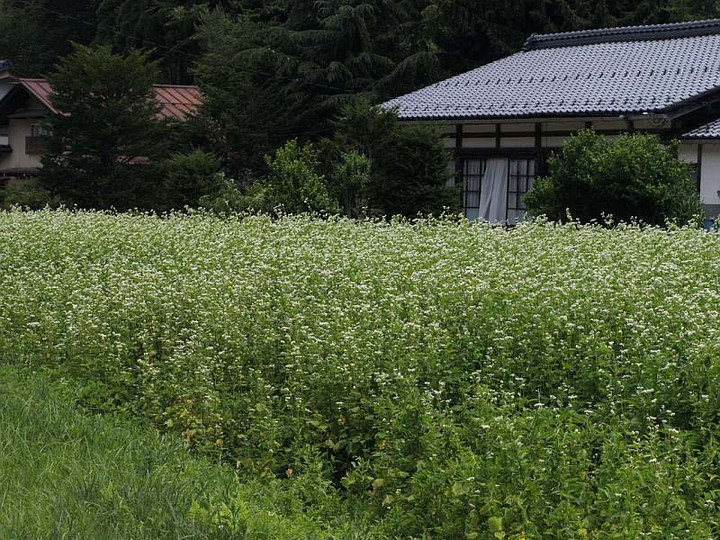 P7163680