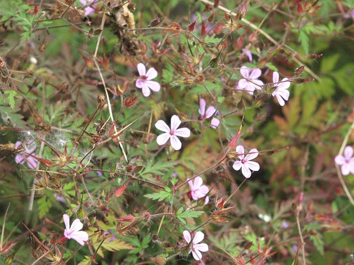 P7163695