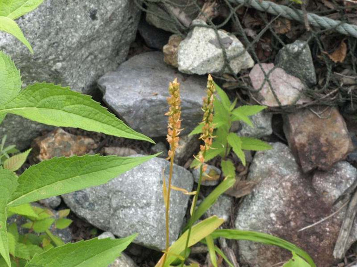 P7163710