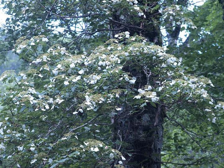 P7173833