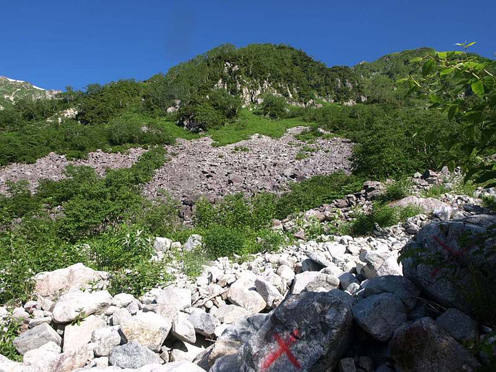 P7173927