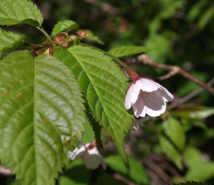 P7173955