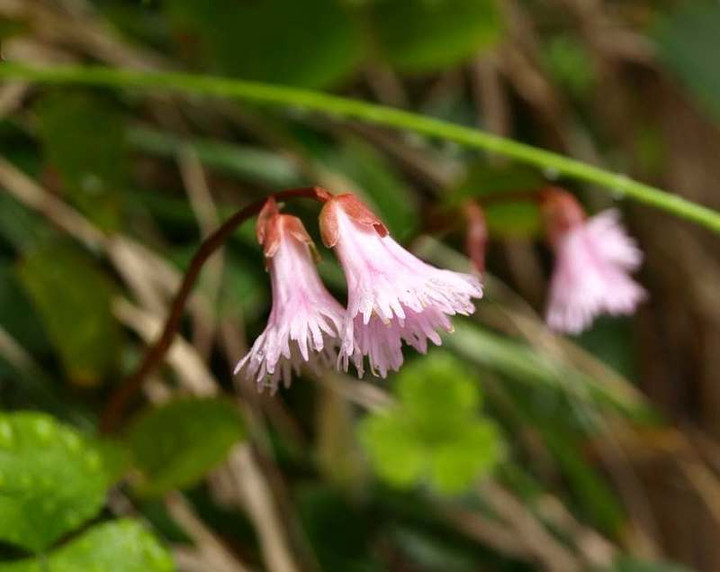 P7173993