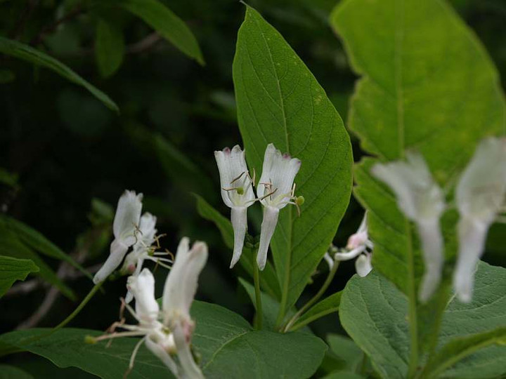 P7174112