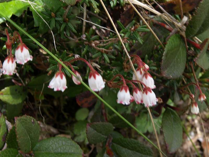 P7174171