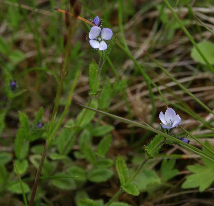 P7174232
