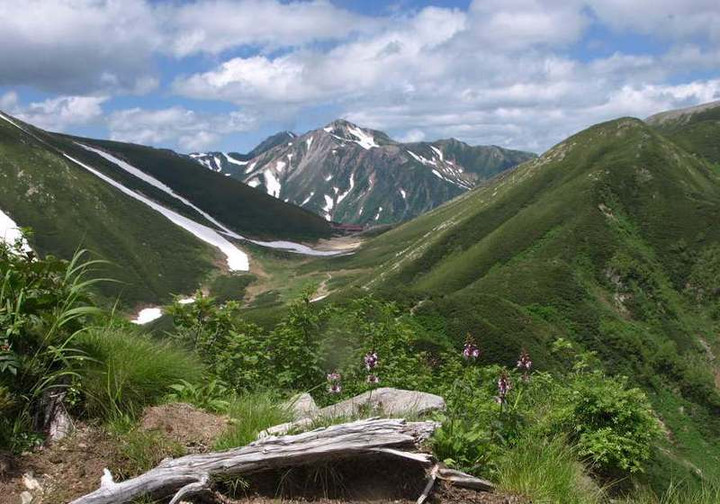 P7174271
