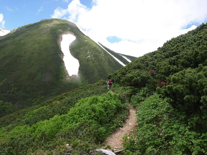 P7174291
