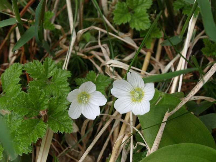 P7174297