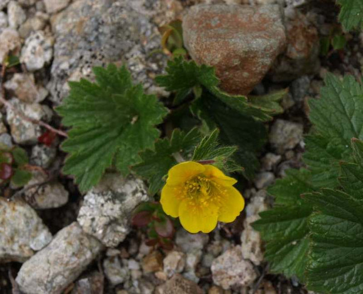 P7174313
