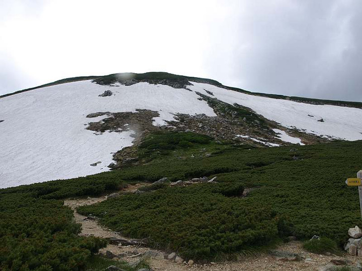 P7174318