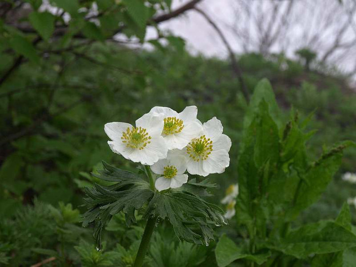 P7184358