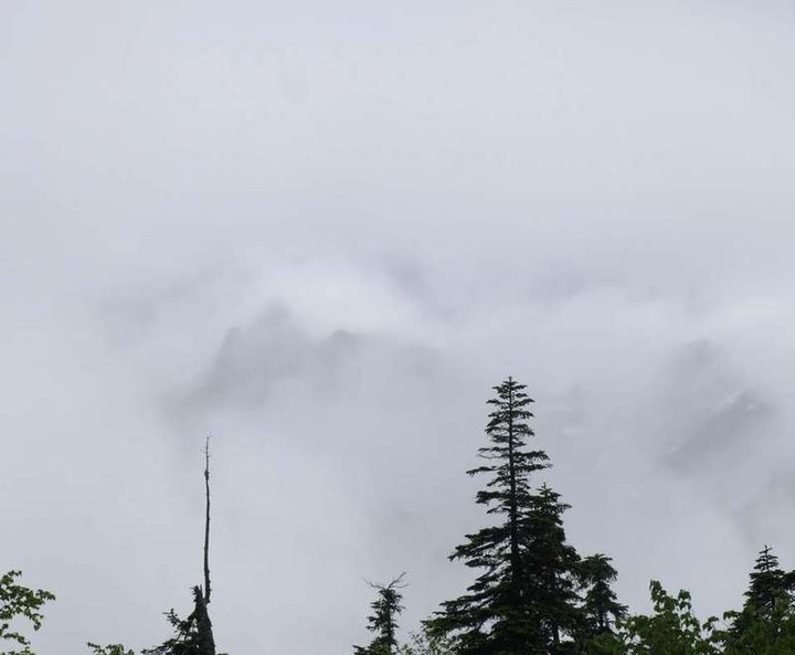P7184378