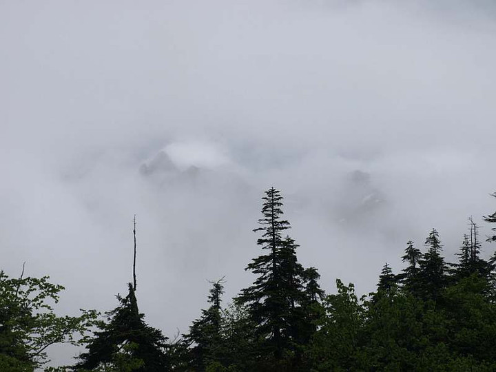 P7184379