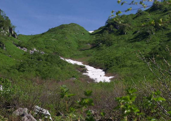 P7194635