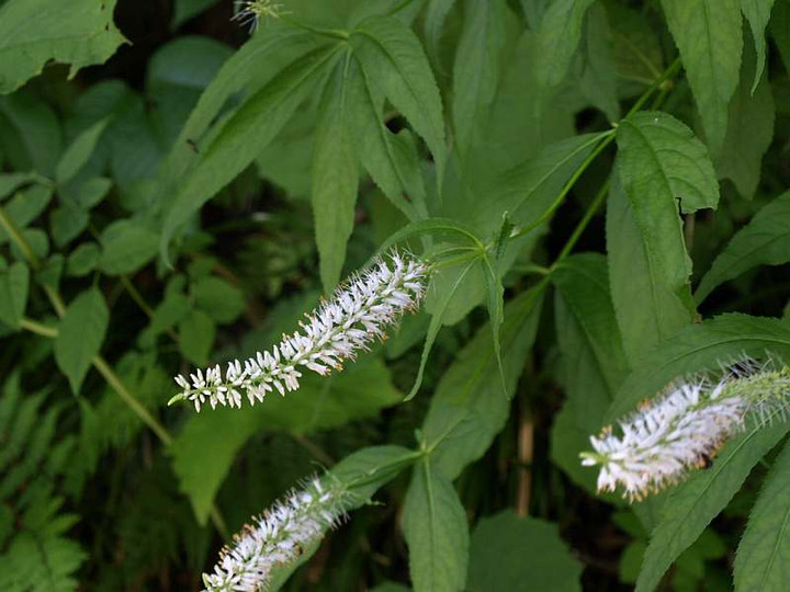 P7194816_2