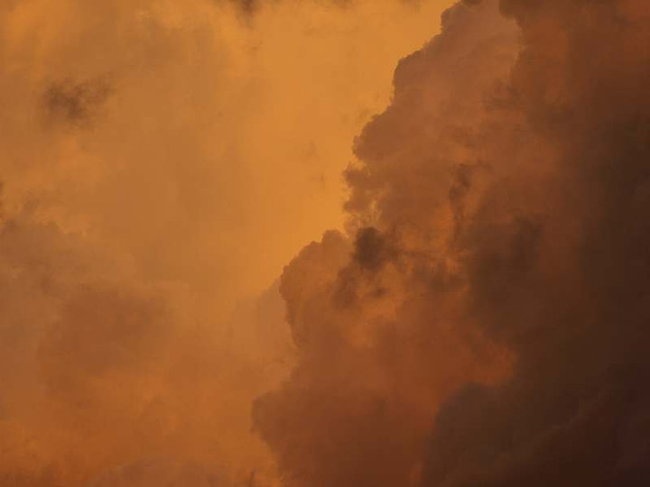 P7294985