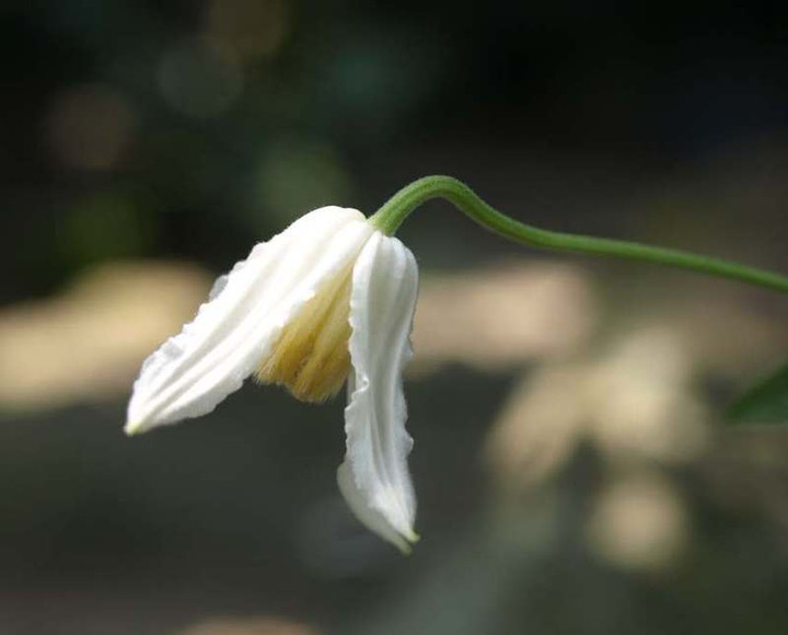 P8065069