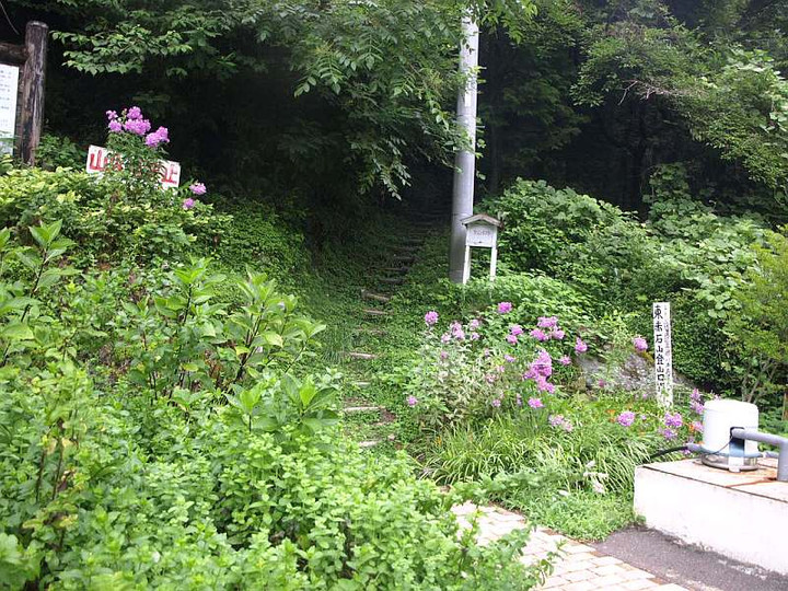 P8075079