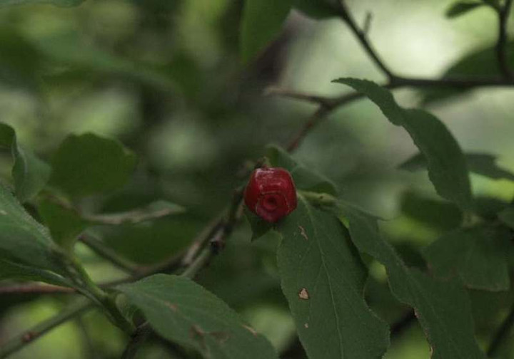 P8075140