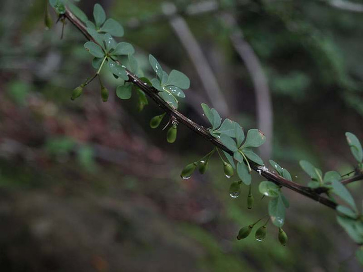P8075222