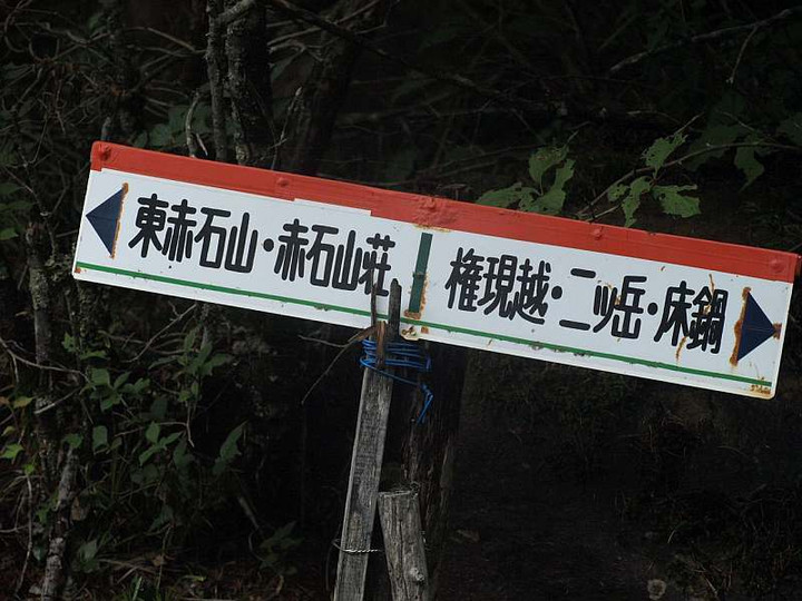 P8075306