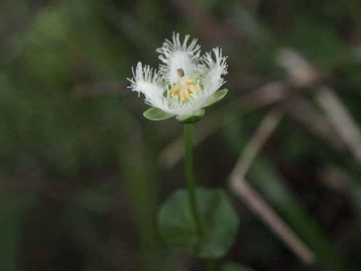 P8075339