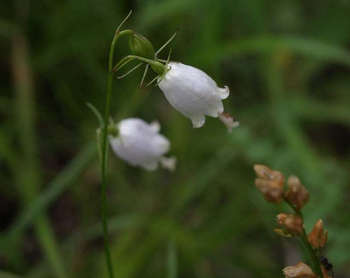 P8075401