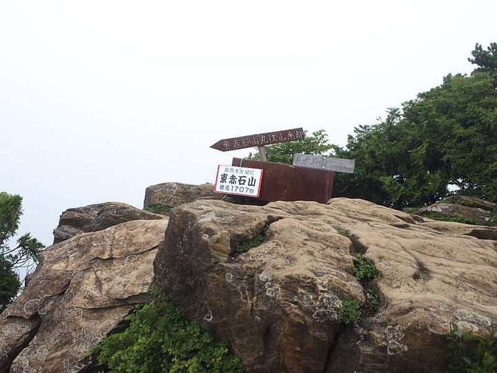 P8075426