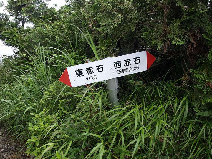 P8075442