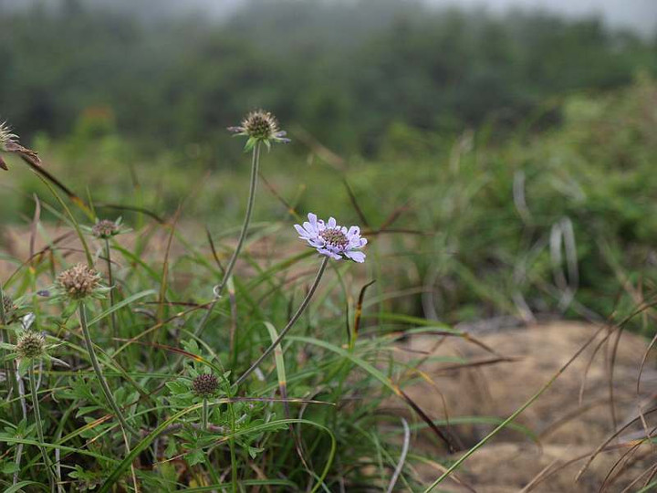 P8075453