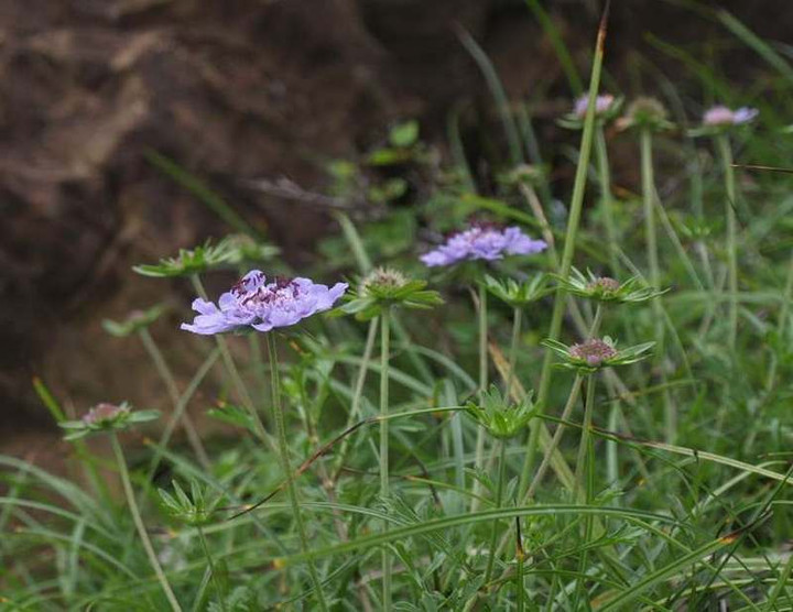 P8075495