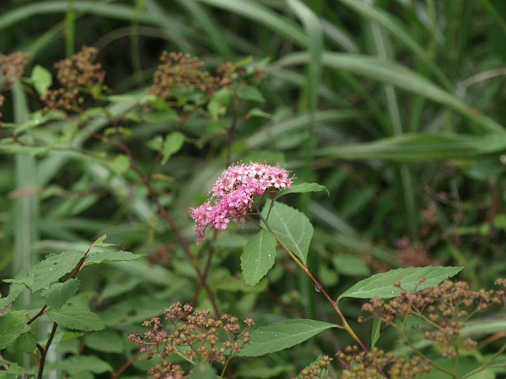P8075556