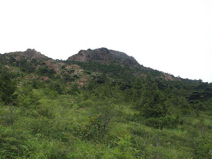 P8075579