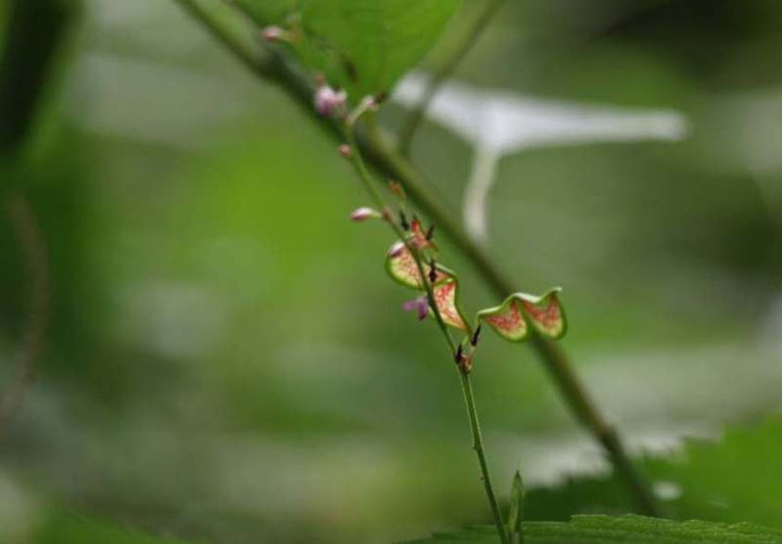 P8135890