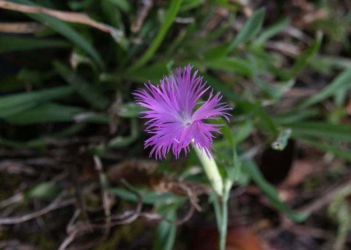 P8135912